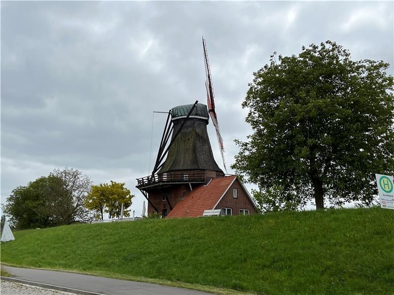 Sorgen um Borsteler Mühle: Sie sinkt immer tiefer Die Mühle sackt: Blick auf das Baudenkmal auf dem alten Elbdeich, der 1970 seine Funktion verloren hat. Foto: Basel