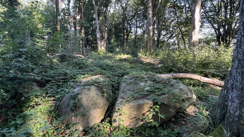 Die Natur ist auf dem Vormarsch: Die Steinkammern versinken im Dornröschenschlaf.
