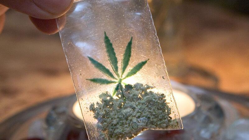 Niederlande testen Verkauf von legal angebautem Marihuana Die Niederlande starten ein Experiment mit dem Handel mit legal angebautem Marihuana.
