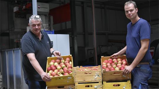 Die Obstbauern Claus-Harry und Niklas Eckhoff präsentieren die Sommersorte Delbar.