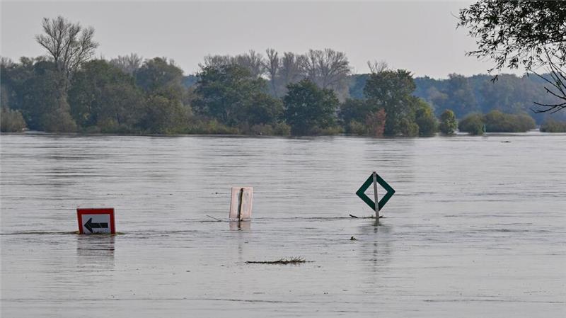 Die Oder bei Ratzdorf (Oder-Spree) „verschluckt“  inzwischen Schilder im Fluss. Der Pegelstand steigt auch noch weiter.
