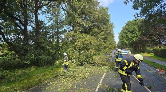 Die Ortsfeuerwehr beseitigt auf der L135 zwischen Sievern und Holßel einen umgestürzten Baum.