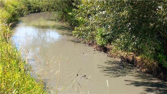 Die Oste bei Weertzen am 13. August. Bentonit trübt das Wasser. Zwischen 100 und 300 Kilogramm des Tonminerals sollen aus dem Bohrloch für den Suedlink-Tunnel ausgetreten und ins Wasser gelangt sein.