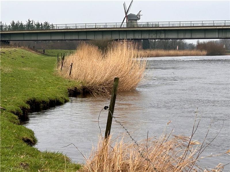 Die Oste hat ein großes Loch in die Uferkante gespült. Eine Wand aus gerammten Pfählen soll die Stelle und den Deich schützen. Foto: Klempow