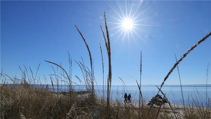 Emotionale Bindung der Menschen zur Ostsee ist groß Die Ostsee hat für ihre Anwohner eine hohe emotionale Bedeutung, hat das Thünen-Institut in einer Umfrage herausgefunden. (Symbolbild)