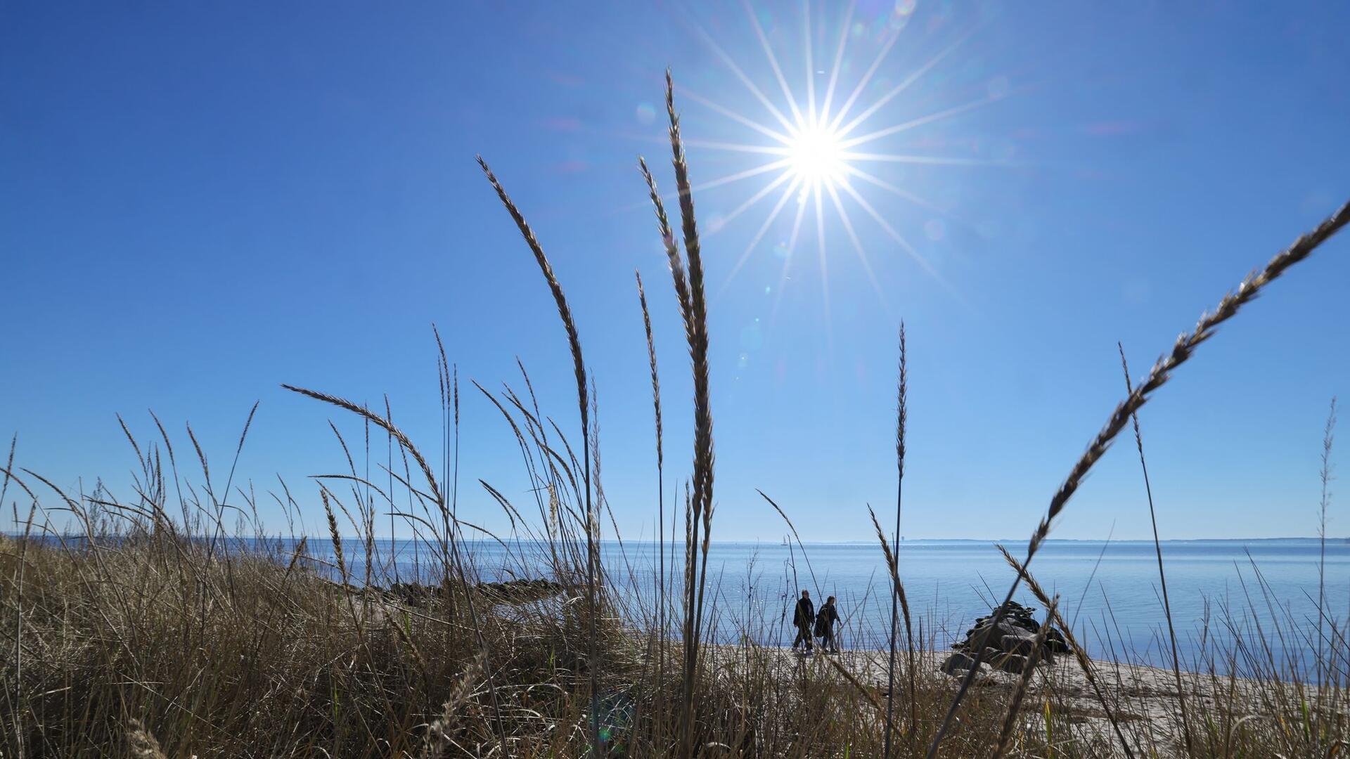 whatsapp bilder ostsee