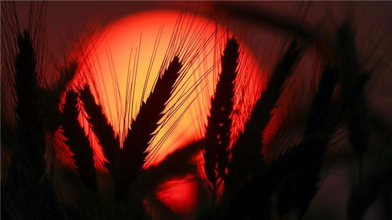 Die Ozonwerte sind in Europa außergewöhnlich hoch für die Jahreszeit. 