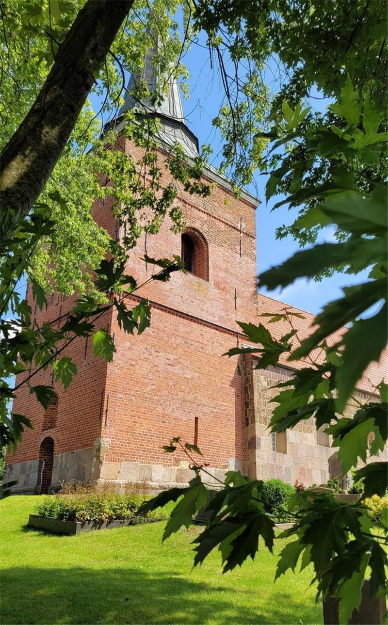Die Padingbütteler Backsteinkirche stammt aus dem 13. Jahrhundert. Sie prägt das kleine, abseits der klassischen Touristenpfade gelegene Dorf.