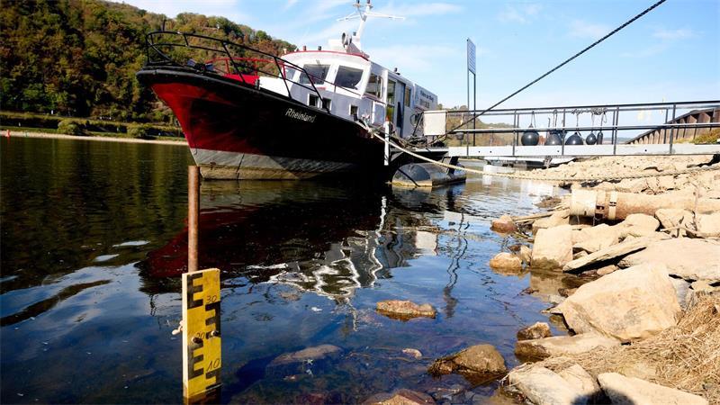 Negative Pegelwerte - Rekordniedrigwasser des Rheins Die Pegellatte in Kaub in Rheinland-Pfalz zeigt nur noch wenige Zentimeter an.