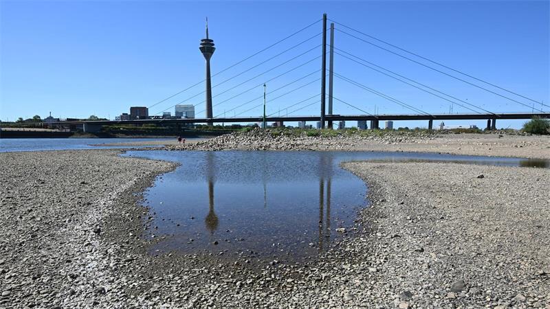 Deutschland 2026: Wie unser Land in der Klimakrise aussieht Die Pegelstände am Rhein lagen in diesem Sommer zeitweise auf historisch niedrigem Niveau.
