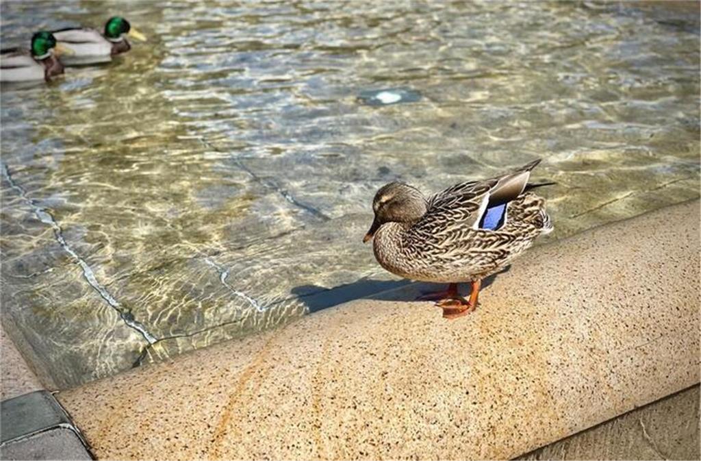 Die Perspektive auf Augenhöhe.