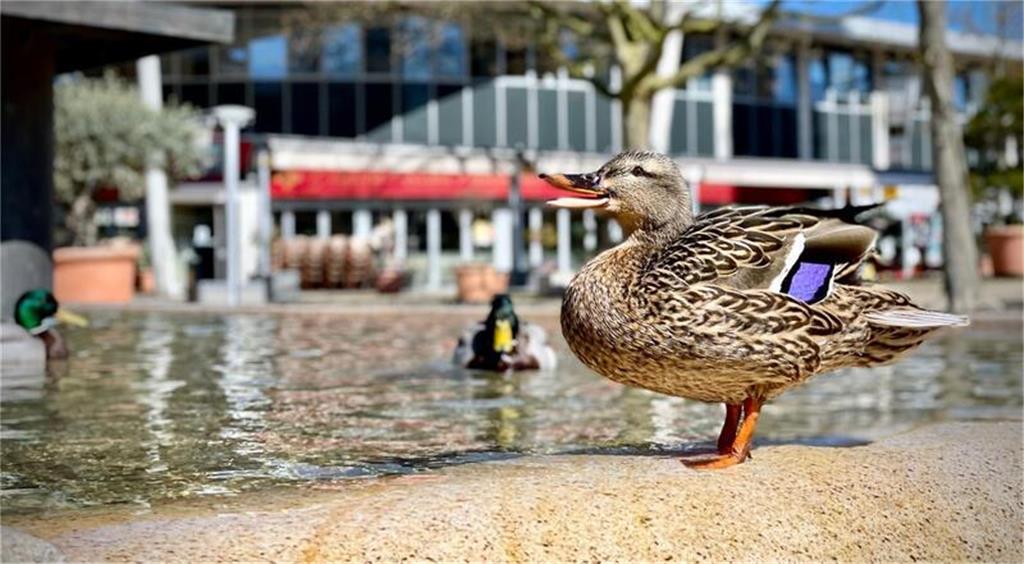 Die Perspektive, wenn man auf Höhe des Motivs ist.