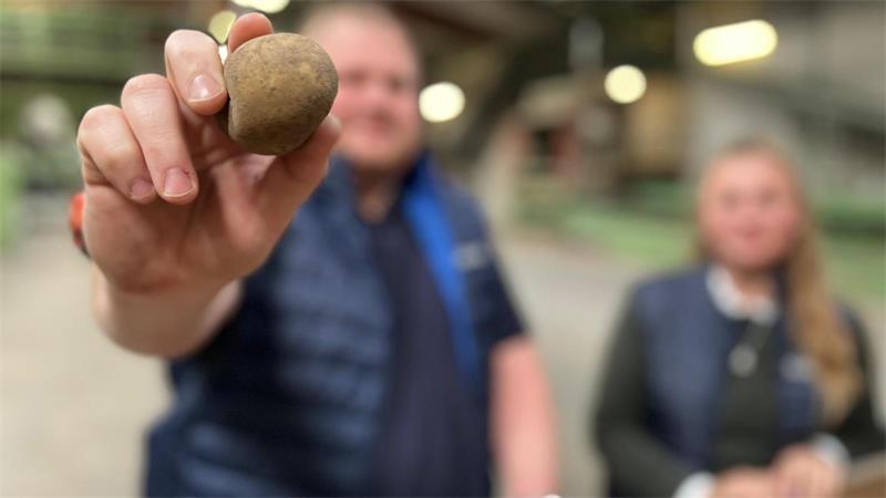 Die Pflanzkartoffeln der RAISA eG werden nach ganz Europa exportiert.