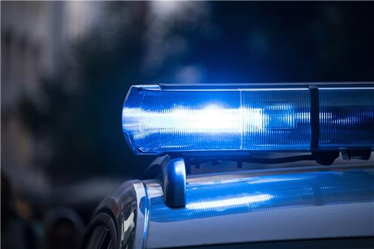 Die Polizei Hemmoor zog mehrere berauschte Fahrer aus dem Verkehr (Symbolbild). Foto: Pixabay