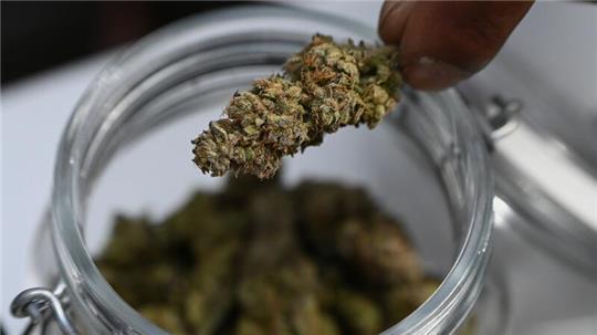 Die Polizei findet zufällig eine Marihuana-Anbauanlage in Bad Oldesloe. (Symbolbild)