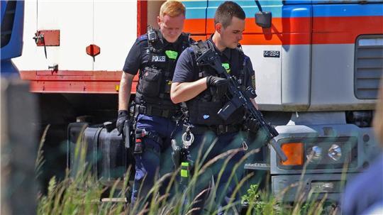 Die Polizei hat bei Leipzig einen Tiger erschossen. 