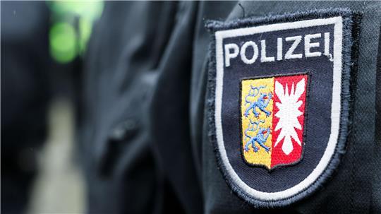 Die Polizei hat die Schildkröte ins Tierheim gebracht. (Symbolbild)
