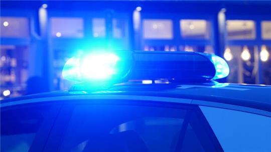 Entlaufen: Hängebauchschwein „Peppa“ stoppt Verkehr in Bremen Die Polizei in Bremen muss ein störrisches Hängebauchschwein von der Straße bewegen. (Symbolbild)