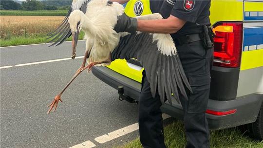 Die Polizei in Landelsheim rettet einen verletzten Storch.