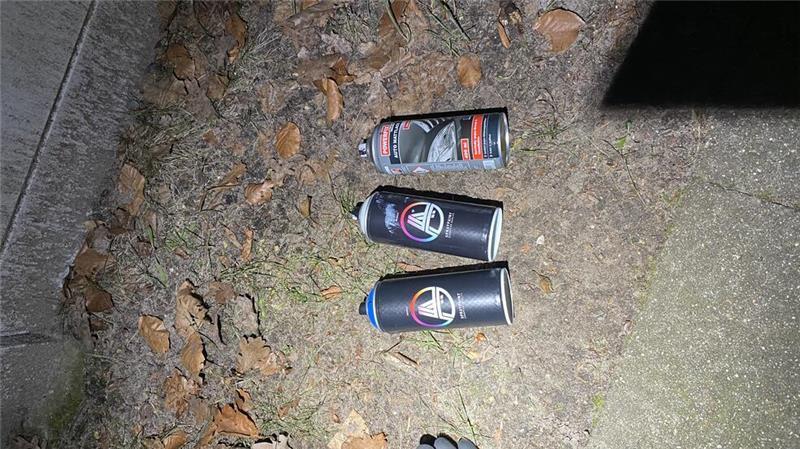 Die Polizei stellte drei Farbdosen sicher.