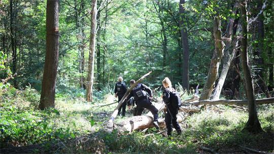 Die Polizei sucht mitten im Wald nach dem Verdächtigen.