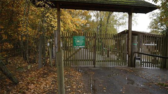 Die Polizei untersucht, wie es zu dem Angriff eines Wolf im Wildpark Johannismühle kommen konnte.  