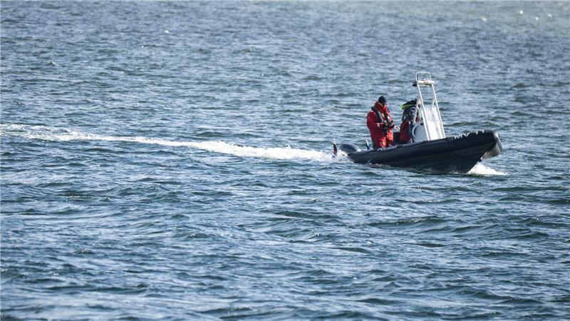 Die Polizei war auf der Ostsee unterwegs, um den Buckelwal zu betreuen. 