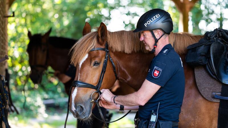 Die Polizeireiter aus Hannover achten darauf, dass sich Besucher umsichtig verhalten.