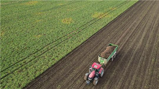Die Preise für viele Agrarprodukte sind derzeit unter Druck. (Archivbild) 