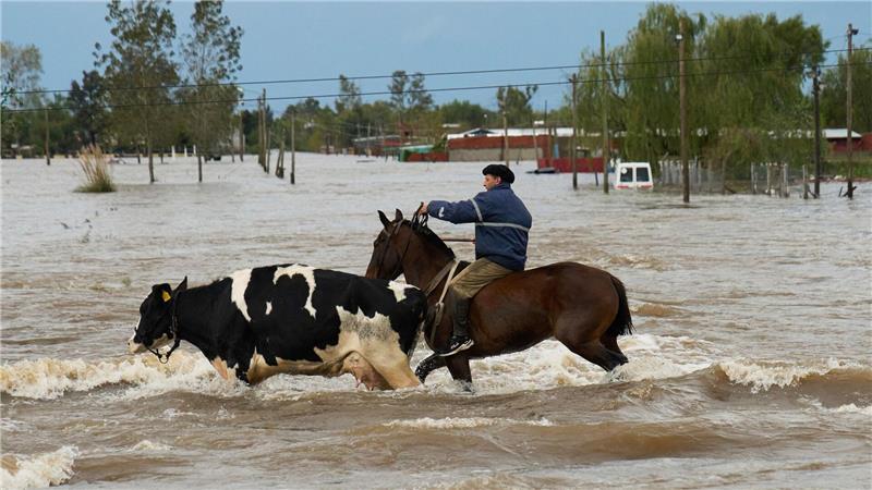 Unwetter in Argentinien: Schulkinder per Helikopter gerettet Die Provinz Buenos Aires ist eine bedeutende landwirtschaftliche Region.