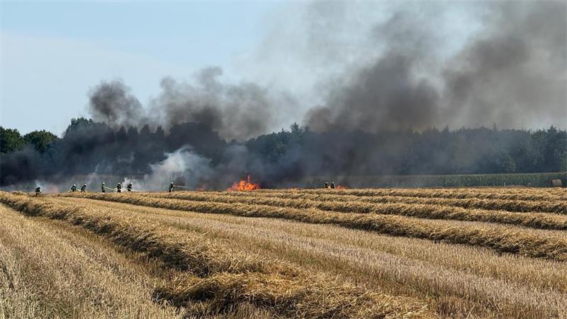 Großeinsätze in Oldendorf und Balje: Felder in Flammen Die Rauchschwaden waren weithin sichtbar.