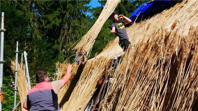 Die Reetbündel werden auf das Dach geworfen, beim Dachdecken mit den Naturprodukt ist noch viel Handarbeit gefragt.