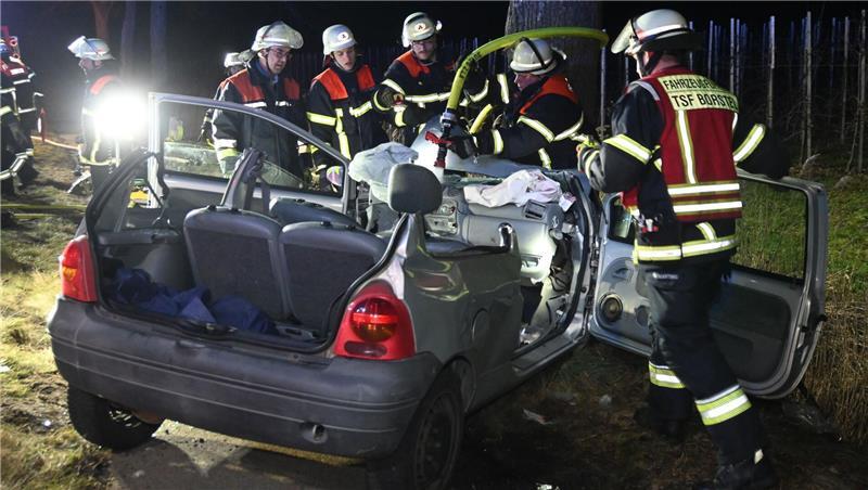 Die Retter musste das Dach des Twingos für die schonende Rettung abtrennen.