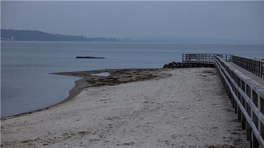 Die Rettungsversuche für den Wal dauern an. 