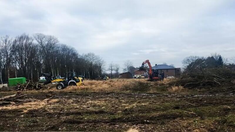 XXL-Rodung: Hier brodelt die Gerüchteküche um Kaufhaus Stolz Die Rodungsarbeiten hinter dem Rossmann in Otterndorf befeuern die Gerüchteküche: Kommt jetzt das Kaufhaus Stolz?