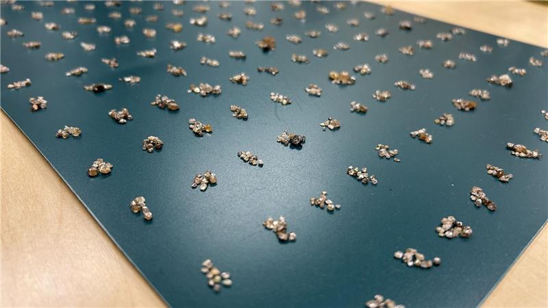 Die Rohdiamanten wurden bei der Einreise entdeckt. (Handout)