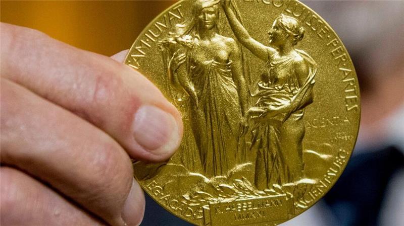 Physik-Nobelpreis für Wegbereiter Künstlicher Intelligenz Die Rückseite der Nobel-Medaille für Physik stellt die Natur in Form einer Göttin dar, die ein Füllhorn hält. Der Schleier, der ihr Gesicht bedeckt, wird vom Genie der Wissenschaft hochgehalten. (Archivbild)