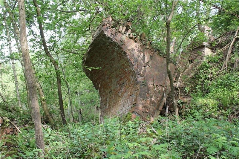 Die Ruine der einstigen Ziegelei ist heute überwuchert. Foto: Dietrich Alsdorf
