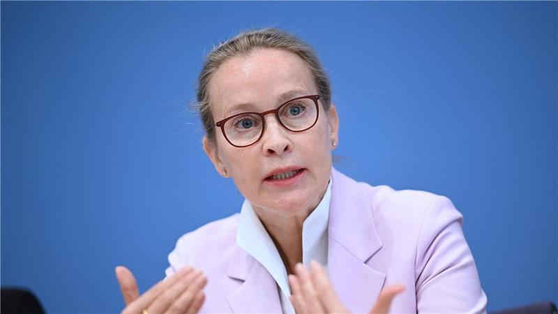 Uni Hamburg prüft Hinweise zu Brosius-Gersdorfs Doktorarbeit Die SPD-Richterkandidatin Frauke Brosius-Gersdorf hat bereits ein eigenes Gutachten in Auftrag gegeben. Dieses hält die Vorwürfe für substanzlos. (Archivbild)
