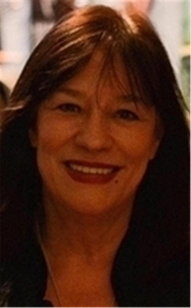 Die Sängerin Ulla Meinecke .