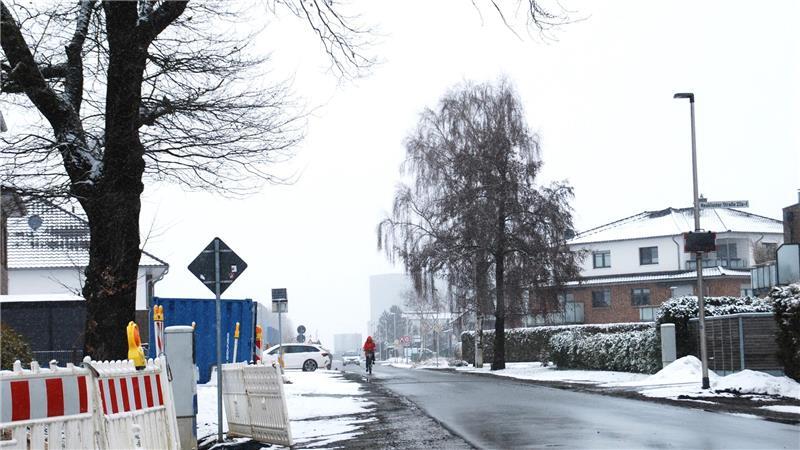 Nächster Aufreger in Apensen: Sechs Eichen entfachen Diskussion Die Sanierung der Neukloster Straße soll in diesem Jahr beginnen.