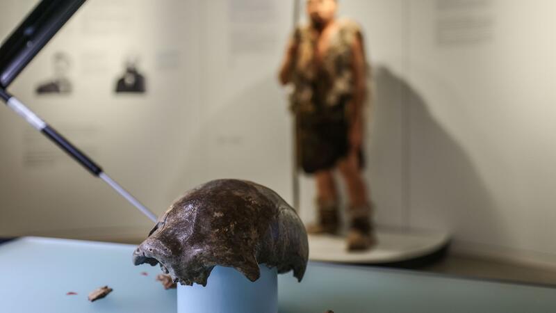 Die Schädeldecke ist das bedeutendste Fundstück, das dem 42 000 Jahre alten Frühmenschen aus dem Neandertal bei Düsseldorf zugeordnet werden kann.