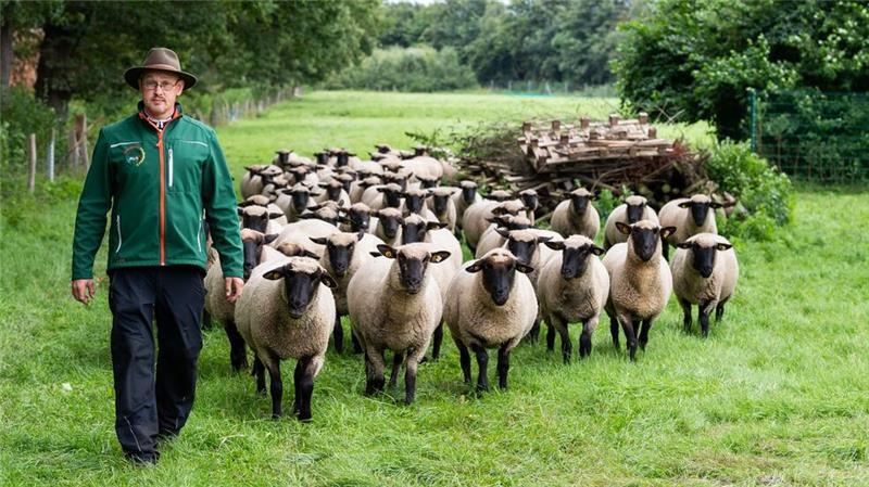 Die Schafhalter sehen sich angesichts der Maul- und Klauenseuche in einer großen Krise. (Archivfoto)