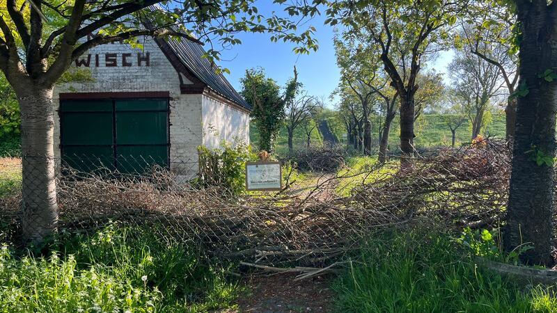Die Schilder an den Bäumen sind inzwischen größtenteils wieder entfernt, der Zaun verhindert jedoch weiterhin das Betreten.