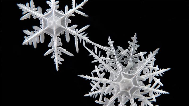 Bremerhavener verewigen Schneeflocken aus Antarktis und Arktis Die Schneeflocken haben sehr unterschiedliche Strukturen.