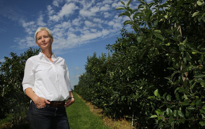 Die Schriftstellerin Dörte Hansen steht in der Nähe von Stade im Alten Land in einer Apfelplantage. Foto: Axel Heimken/dpa