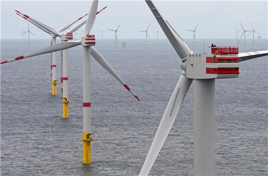 Die Schutzgemeinschaft Deutsche Nordseeküste hat die Sorge, dass solche Windparks Überhand nehmen. Foto: Ingo Wagner
