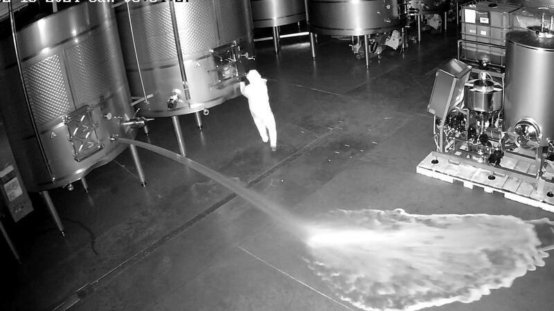 Spanien: Unbekannter verschüttet Wein im Millionen-Wert Die Sicherheitskamera zeichnet den kuriosen Vorfall auf.