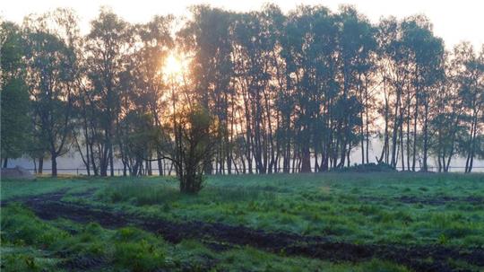 Die Sonne geht am Morgen nahe der Ortschaft Elm hinter Bäumen auf.