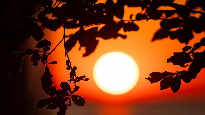 Die Sonne geht am Steinhuder Meer in der Region Hannover auf.